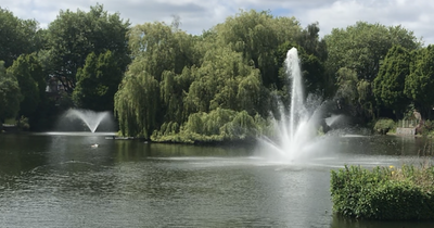 The beautiful hidden Dublin city centre park you may not even know existed