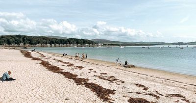 Beaches near Glasgow given Blue Flag award ahead of summer swimming season