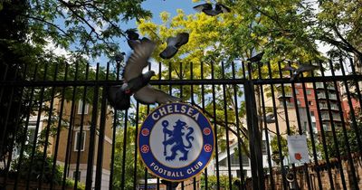 Chelsea sale: Board of directors' statement in full on Todd Boehly/Clearlake Capital takeover