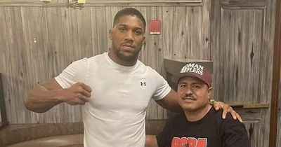 Anthony Joshua recruits Robert Garcia as new trainer for Oleksandr Usyk rematch