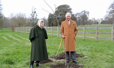 Queen’s jubilee tree planting sponsors ‘linked to deforestation’