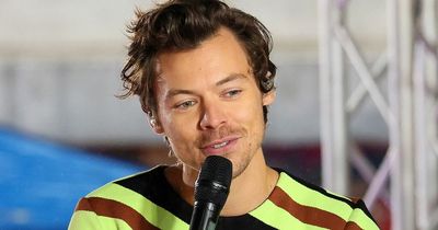 Harry Styles and Olivia Wilde romance is 'committed and more serious than ever'