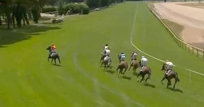 "A little bit dangerous" - Racehorse 'runs away with jockey' and gallops straight into trees
