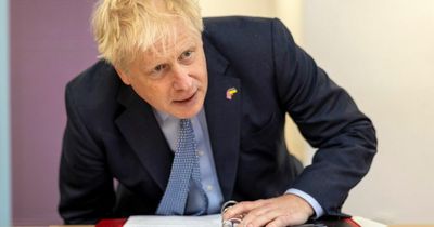 Vote of no confidence in Boris Johnson inching closer as almost 30 Tory MPs hit out