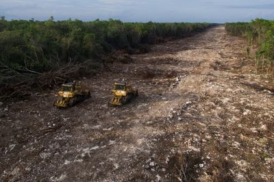 Mexico president's tourist train suffers new legal blow