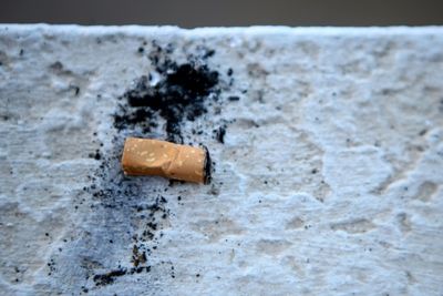 Big tobacco's environmental impact is 'devastating': WHO