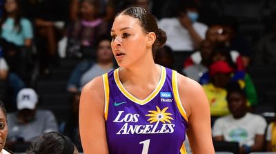 Liz Cambage Denies Directing Racial Slur at Nigerian Players