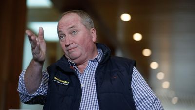 Barnaby Joyce says he planned to stand down as leader after election but not yesterday