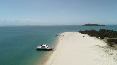 Gina Rinehart's Hancock Prospecting backs out Woppa-Great Keppel Island resort redevelopment