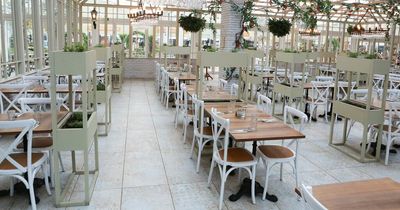 Some of the best garden centre cafes in Nottinghamshire