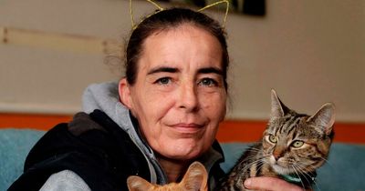 Leeds woman's horror as 10 month old kitten mauled to death by dog in traumatic attack