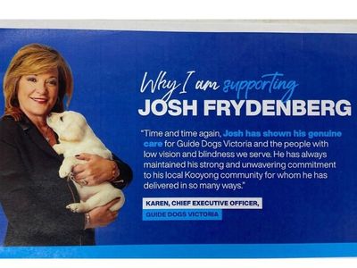 Charity CEO resigns over Frydenberg flyer