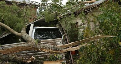 SES bracing for another day of gale-force winds ripping through Hunter