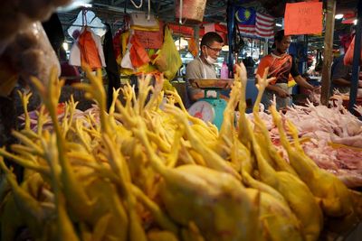 Distress in Singapore as Malaysia bans chicken export