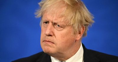 Boris Johnson facing more calls from MPs to quit as Tory whips 'discussing' how to fight back