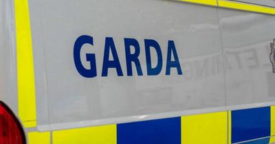 Passenger pushed from vehicle in terrifying carjacking in Kildare as man arrested by gardai