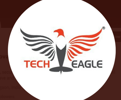 TechEagle drone delivers mail in Gujarat under pilot project