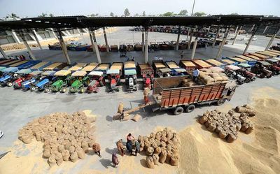 Govt. orders stricter checks on wheat export process