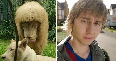 Lion with eye-catching fringe shares uncanny likeness to Jay from The Inbetweeners