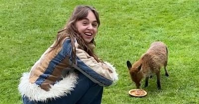 Woman befriends fox which goes into her house and it even has its own bed