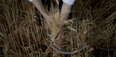 Shavuot: A Jewish holiday of renewing commitment to God