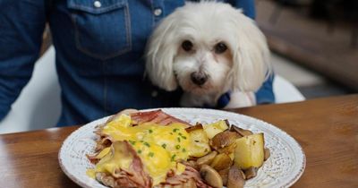 'My date cooked his dogs a better meal than me - so I walked out'