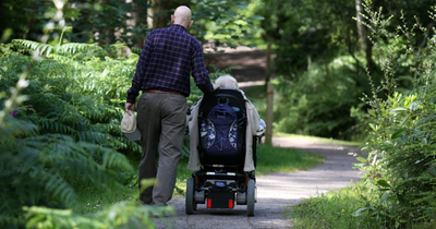 The beautiful all-ability forest trails in Scotland to explore this bank holiday