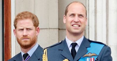 Prince Harry 'missing William and is not totally happy', Diana’s former butler says