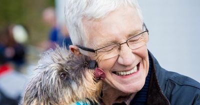 Where Paul O'Grady's dogs are now - tragic deaths, forced to send back and fights