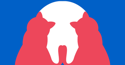 Dog and cat owners baffled by optical illusion showing which animal they love more