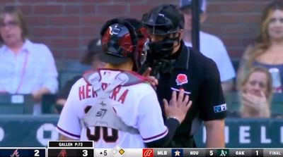 Diamondbacks catcher José Herrera stopped ump from confronting pitcher in a very weird scene
