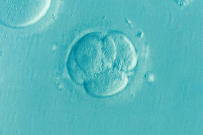 Discrepancies in wait times for NHS fertility services across London revealed