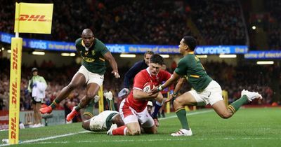 Wales v South Africa rugby matches go completely behind TV paywall with no S4C live coverage allowed