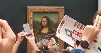 Mona Lisa cake attack and other works of art vandalised - from pipe bombs to hammer blows