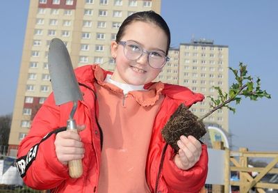 Scottish school pupils plant thousands of trees across the country