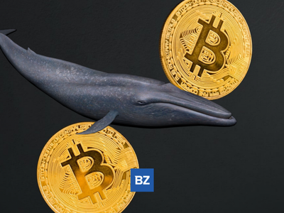 Bitcoin Whale Moves 2,000 BTC Off Bitstamp