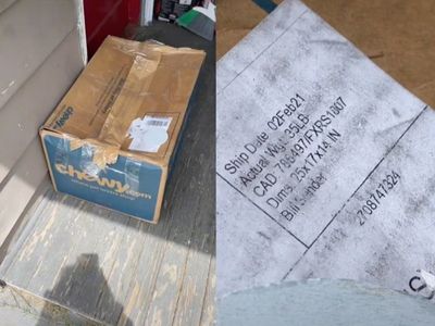 Woman’s package from Chewy arrives a year late: ‘Where have you been?’