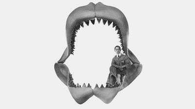 How great whites may have contributed to the extinction of the biggest shark, megalodon