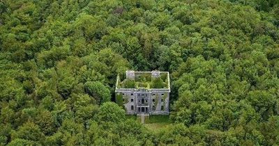 Mystery of an abandoned mansion in an Irish forest that burned down 100 years ago - and you've probably never heard of it