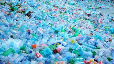 These Environmentalists Want To Ban Single-Use Plastics Because Recycling Them 'Will Never Work'