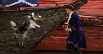BGT viewers divided as judges give dogs standing ovation and snub forgotten winners