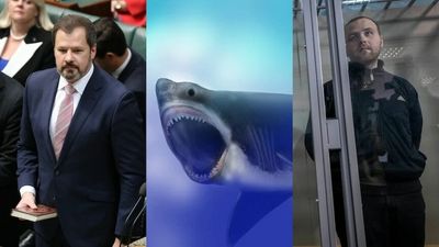 The Loop: A new Labor cabinet to be sworn in, Ukraine jails more Russians, and fresh research into old sharks