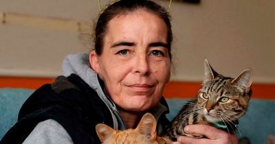 Woman's horror as kitten mauled to death by dog in traumatic attack