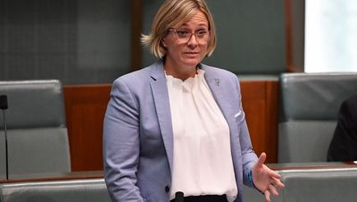 Does Zali Steggall have a solution to Labor’s twin dilemmas on climate?