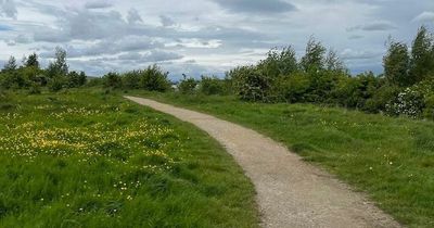 Leeds woman 'dragged across pavement' by animal snatcher while walking dog