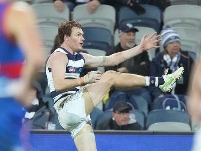 Rohan, Stanley pushing for Cats AFL return