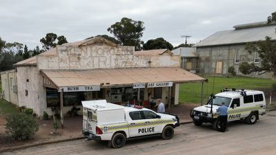 Police say allegedly murdered NSW man Peter Hillier was 'viciously beaten' behind Poochera art gallery