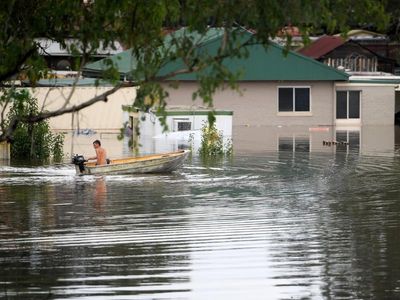 NSW disaster agency 'tried their best': MP