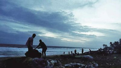 Monsoon likely to hit North Bengal in 2-3 days: Met