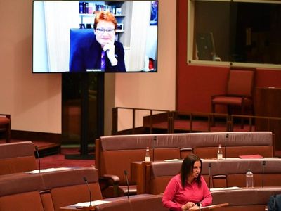 Coalition set to be biggest Senate party